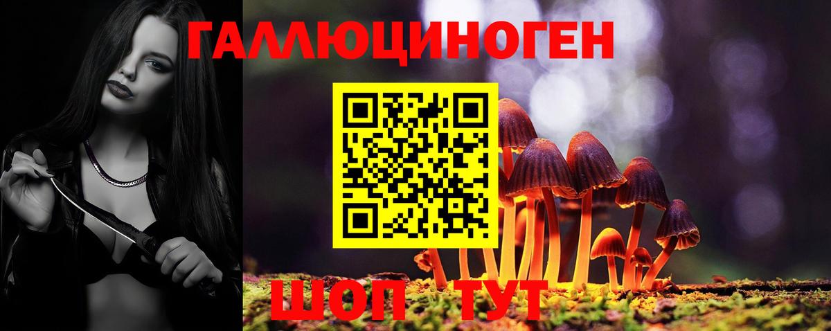 Псилоцибиновые грибы Psilocybine cubensis  Вход с VPN  Ижевск  Псилоцибиновые грибы MAGIC MUSHROOMS 